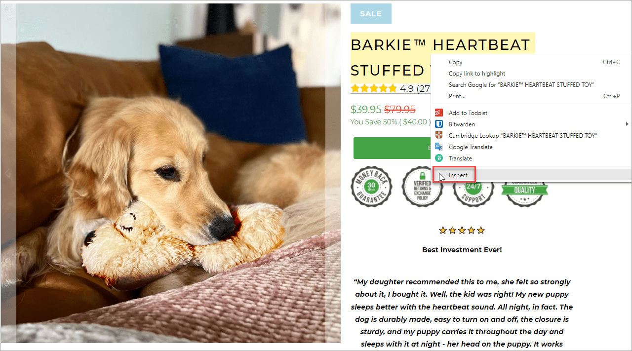Shopify Product Title Extraction Inspect